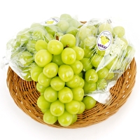 [과일예찬] 탐나는 김천 샤인머스캣세트 1.5kg(특2-3수)