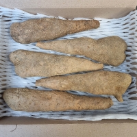 비옥한 흙에서 비롯된 신선한 산마,장마(푸)