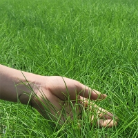 [신한카드 할인]  30년 전통  부추김치(푸)