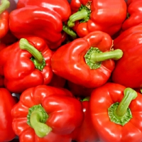 [농협] 한아름드린 신선 파프리카(빨강) 2kg/4kg(상/가정용)