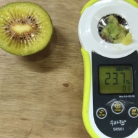 차원이 다른 맛과 당도 프리미엄 레드키위(푸)