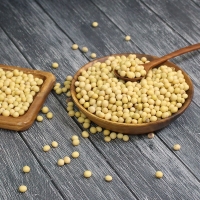 (25년산) 홍성농부의 백태 1kg 메주콩 노란콩 대두