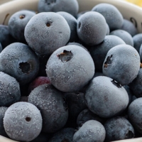 [웰루츠] 칠레산 A등급_냉동 블루베리 1kg×2ea