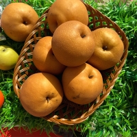 [신한카드 할인]  시원하고 달콤한 가정용 햇배