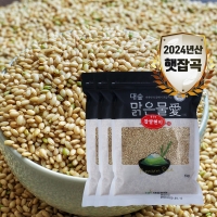 [대숲맑은물애] 24년산 웰빙푸드 찹쌀현미 1kg~5kg
