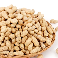 [농협공판장] 정성드린 볶음 피땅콩 1kg/2kg/3kg (팩당1kg)