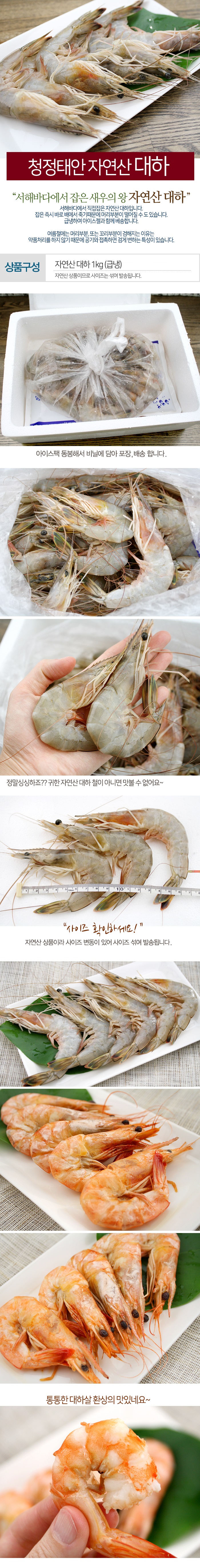 청정태안 자연산대하 1kg(15미 내외/급냉) + 천일염 증정