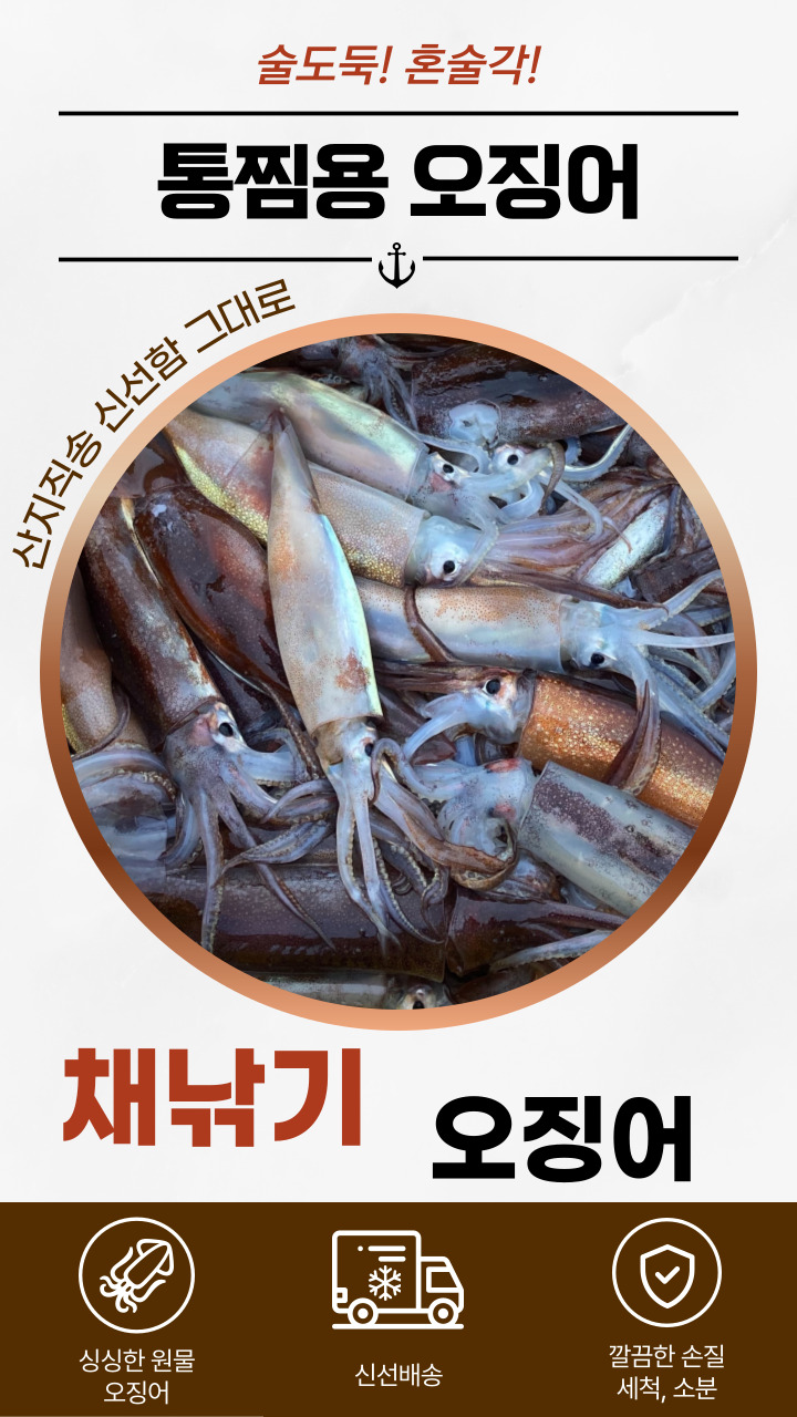 자연산 채낚기 생물 오징어 급냉 통찜오징어 5-8미 1kg