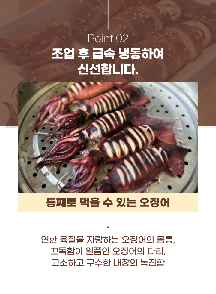 자연산 채낚기 생물 오징어 급냉 통찜오징어 5-8미 1kg