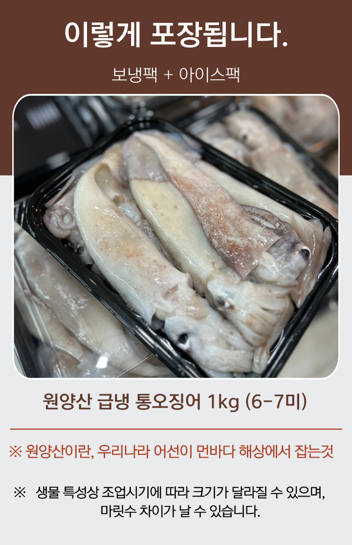 자연산 채낚기 생물 오징어 급냉 통찜오징어 5-8미 1kg
