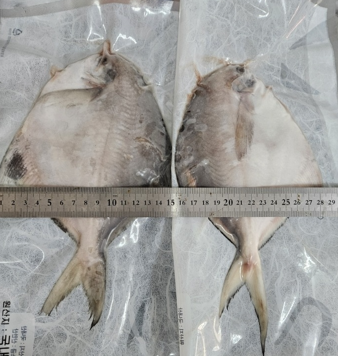 홍지수산 프리미엄 흰살생선 병어1마리