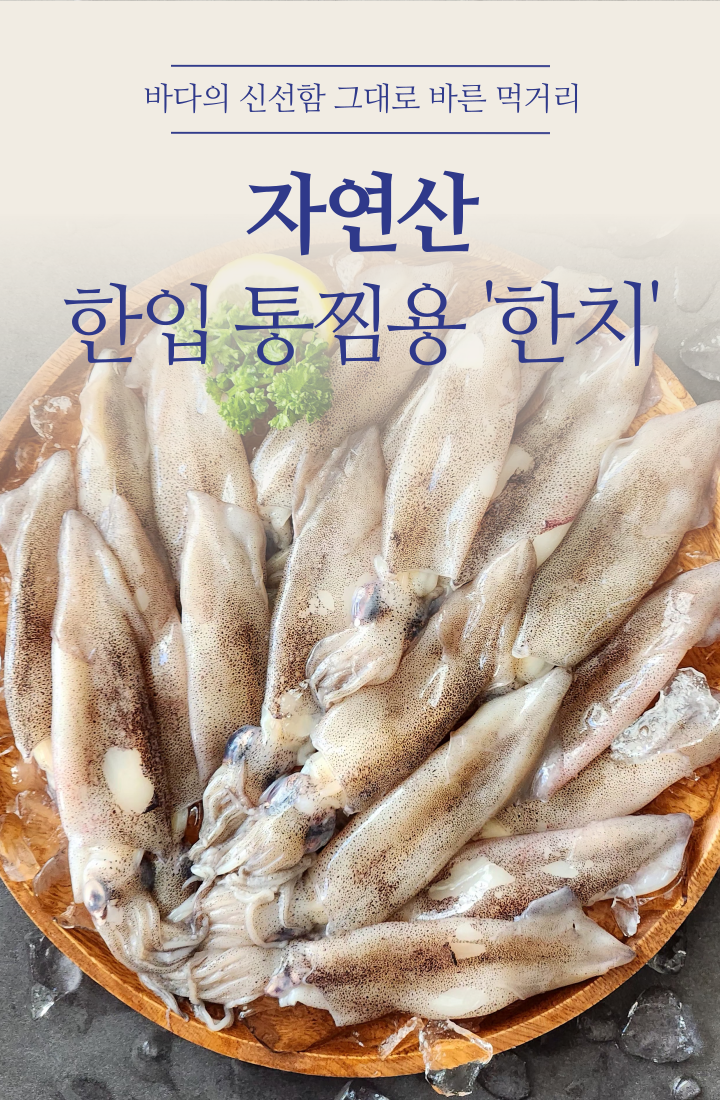자연산 한치 총알한치 통찜한치 생물 급랭 1kg (14~26미)