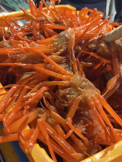 산지직송 구룡포 연지홍게  홍게제철  실속 가성비 3kg (10-12미)