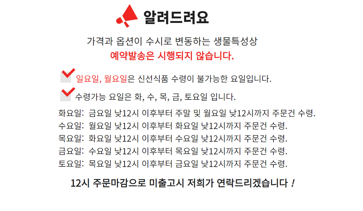 악세사리 -S11L1