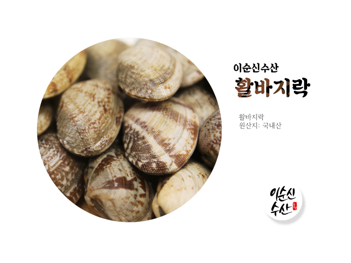 악세사리 크림 색상 이미지-S1L22