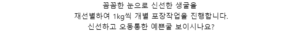 꼼꼼한 눈으로 신선한 생굴을재선별하여 1kg씩 개별 포장작업을 진행합니다.신선하고 오동통한 예쁜굴 보이시나요?