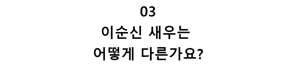 03이순신 새우는어떻게 다른가요?