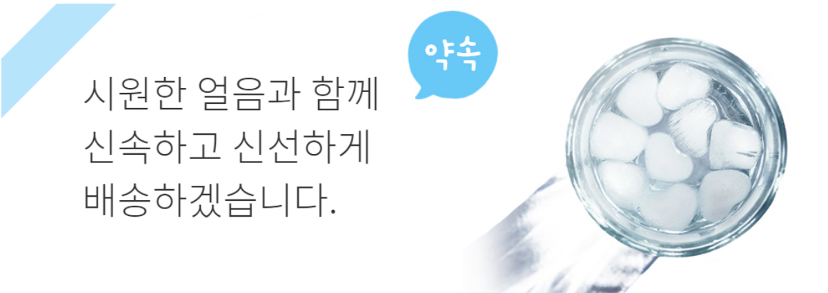 악세사리 -S1L24