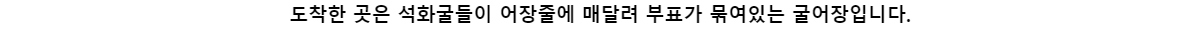 도착한 곳은 석화굴들이 어장줄에 매달려 부표가 묶여있는 굴어장입니다.